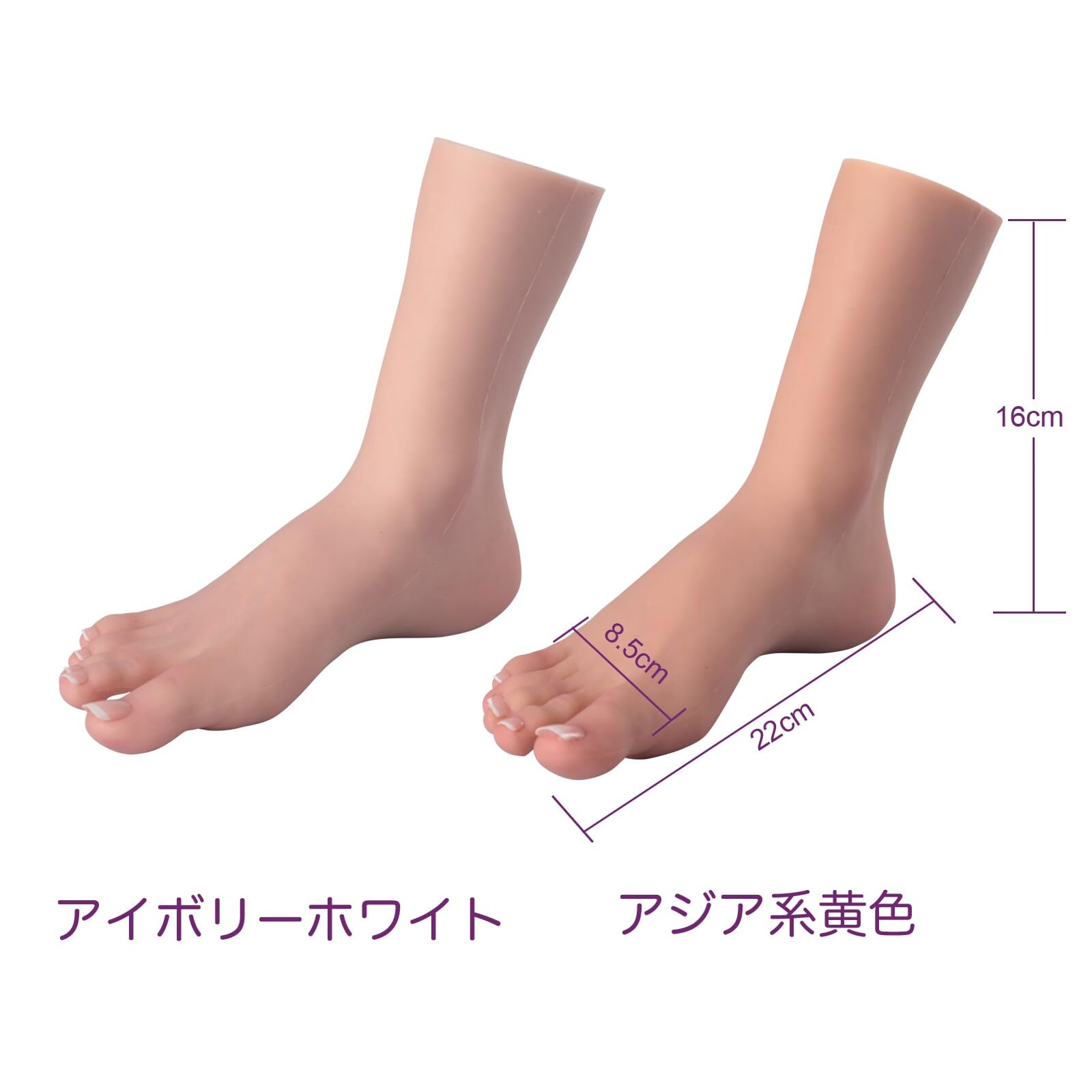 Amazon.co.jp: MOTLEYBEAN 足 模型 一対のシリコン足 女性の足
